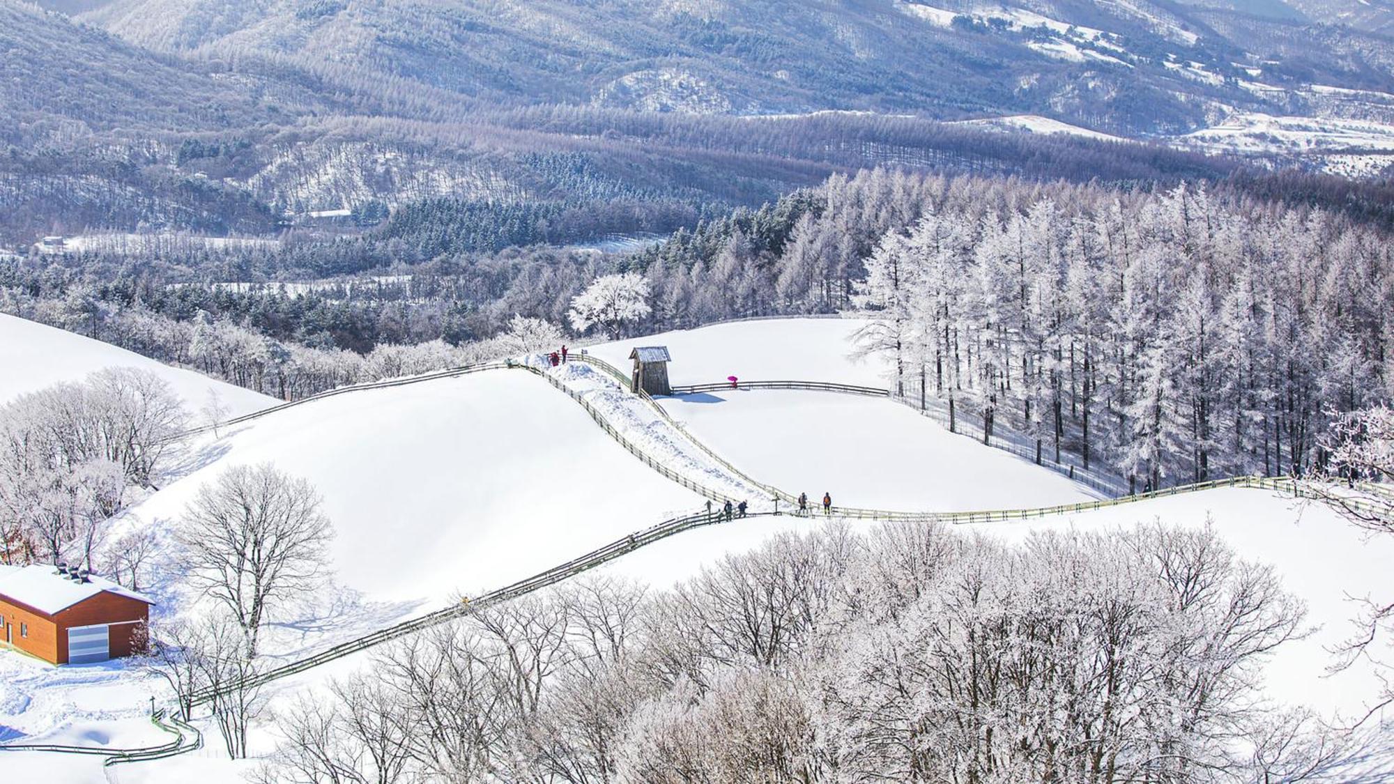Holiday Inn Resort Alpensia Pyeongchang By Ihg Dış mekan fotoğraf